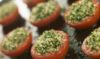 tomates à la provençale